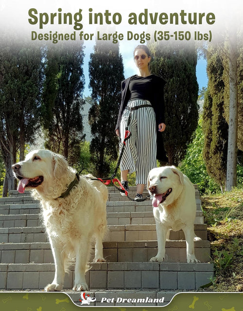Load image into Gallery viewer, Exquisite Double Dog Leash for Large Dogs | Hands Free Dog Leash 2 Dogs | Waist Dog Leash for Large Dogs | Two Dog Leash for Large Dogs | Leash for Big Dogs | Hands Free Running Dog Leash
