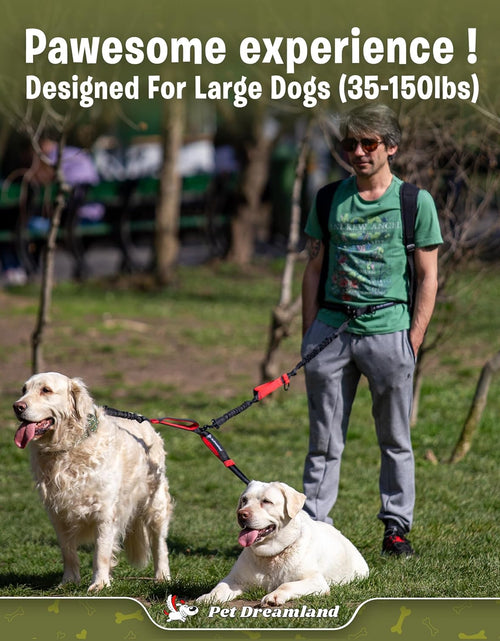 Load image into Gallery viewer, Exquisite Double Dog Leash for Large Dogs | Hands Free Dog Leash 2 Dogs | Waist Dog Leash for Large Dogs | Two Dog Leash for Large Dogs | Leash for Big Dogs | Hands Free Running Dog Leash
